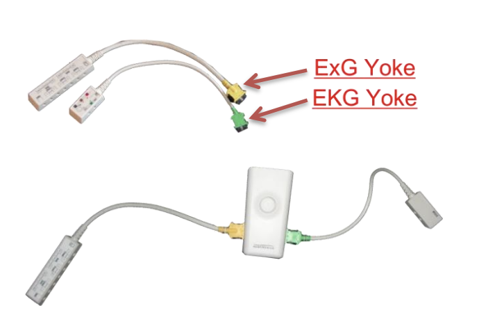 Plug the ExG Yoke into the Alice PDx<br />
Module as seen in Figure 5. The<br />
yokes are color coded and labeled on<br />
the Alice PDx Module.<br />
The yokes can be attached to the<br />
Velcro straps on the belt, or put<br />
under the belt to keep out of the<br />
way.